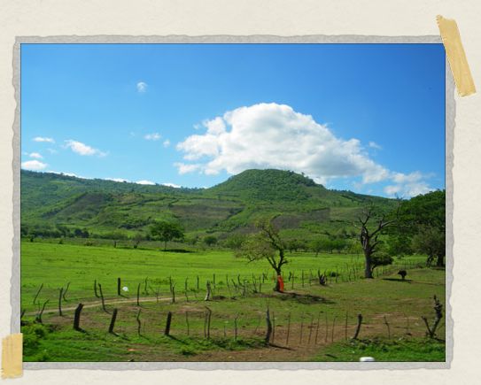 The bus ride from Matagalpa to Managua rolled past fields of green and lush mountains in the distance 'The bus ride from Matagalpa to Managua rolled past fields of green and lush mountains in the distance