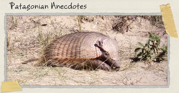 Patagonian Anecdotes