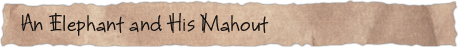 An Elephant and His Mahout