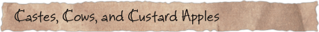 Castes, Cows, and Custard Apples