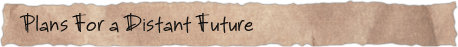 Plans For a Distant Future