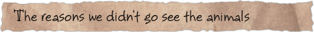 The reasons we didn