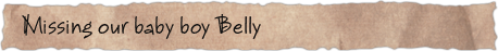 Missing our baby boy Belly