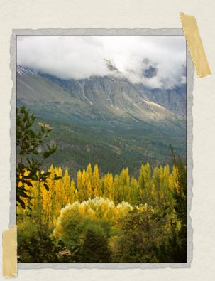 'The misty mountains of El BolsÃ³n &ndash; our favorite place in the world