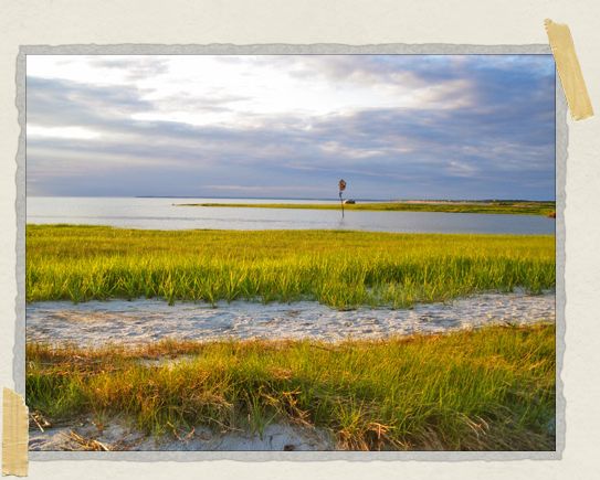 We came to this beach during magic hour, and the colors of the grass and the sky were surreal. 'We came to this beach during magic hour, and the colors of the grass and the sky were surreal.