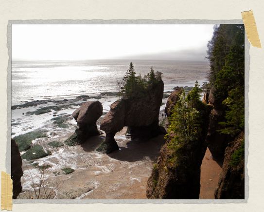 ...but if you wait a mere 6-8 hours, you'll be able to enjoy walking along a beach that just hours before was the ocean floor! '...but if you wait a mere 6-8 hours, you'll be able to enjoy walking along a beach that just hours before was the ocean floor!
