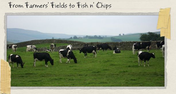 From Farmers' Fields to Fish n' Chips From Farmers' Fields to Fish n' Chips