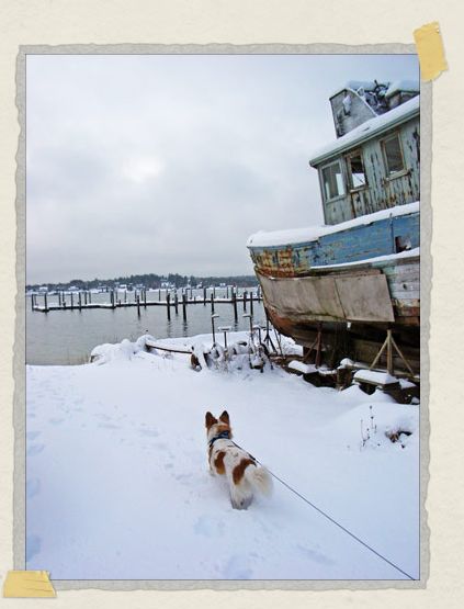 ...and the snow. This is the beach nearby our house which he loved to explore with us. '...and the snow. This is the beach nearby our house which he loved to explore with us.