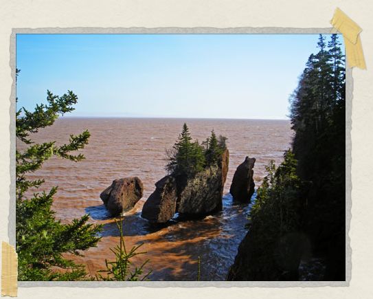 Reportedly the Hopewell Rocks have the world record for the highest average tides found anywhere, reaching upward of 46 feet... 'Reportedly the Hopewell Rocks have the world record for the highest average tides found anywhere, reaching upward of 46 feet...
