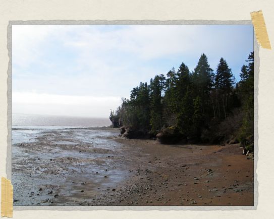 Low tide! 'Low tide!