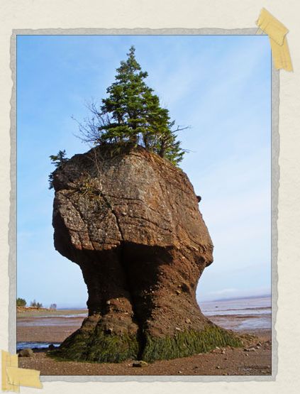 This rock will be more than halfway submerged during high tide. 'This rock will be more than halfway submerged during high tide.
