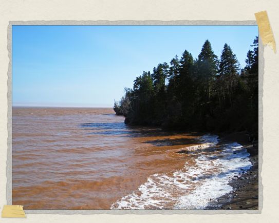 High tide! 'High tide!