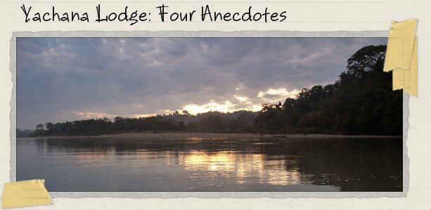 Yachana Lodge: Four Anecdotes Yachana Lodge: Four Anecdotes