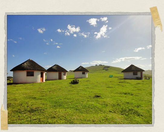 Xhosa rondavels in the afternoon sun 'Xhosa rondavels in the afternoon sun