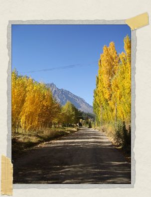 'The road out of town