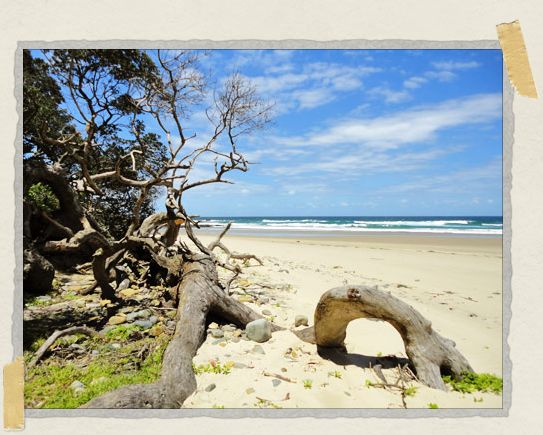 Walking barefoot along the Wild Coast 'Walking barefoot along the Wild Coast