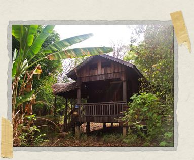 'Our beautiful cottage, out in the middle of nowhere