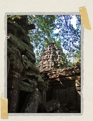 'At Ta Prohm, the jungle has been declared victor