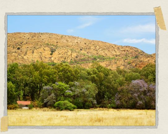 Rainhill Farm, at the foot of the Magaliesberg Mountains 'Rainhill Farm, at the foot of the Magaliesberg Mountains
