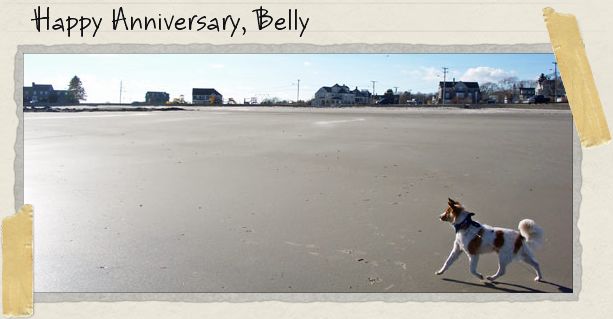 Happy Anniversary, Belly Happy Anniversary, Belly