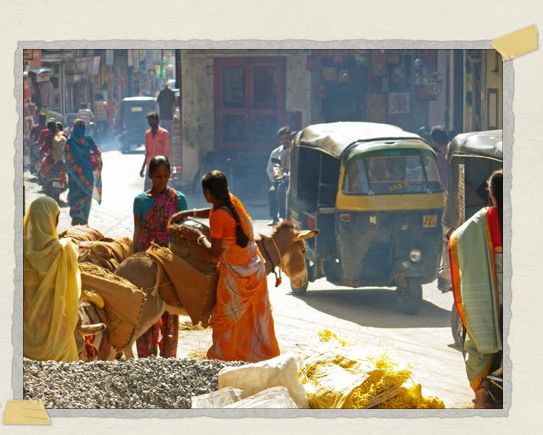 A donkey waits patiently while workers load him up with construction materials and traffic drives past 'A donkey waits patiently while workers load him up with construction materials and traffic drives past