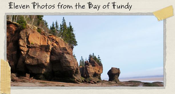 Eleven Photos from the Bay of Fundy Eleven Photos from the Bay of Fundy