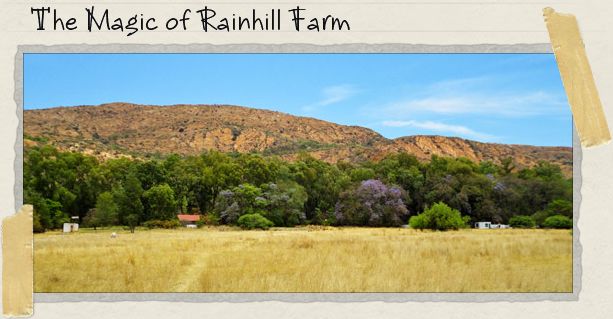 The Magic of Rainhill Farm The Magic of Rainhill Farm