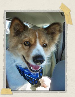 'Going on a fun road trip through Maine with Mommy and Daddy!