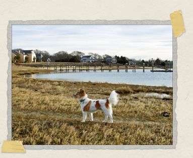 'Standing on the shore, sniffing the saltwater breeze