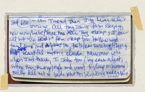 Notebook entry for June 10, 2006 'Notebook entry for June 10, 2006