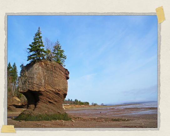 The ever-clever Canadians call these rock formations flower pots since, well, that's kind of what they look like with all the trees and plants and what not sprouting off their tops 'The ever-clever Canadians call these rock formations flower pots since, well, that's kind of what they look like with all the trees and plants and what not sprouting off their tops