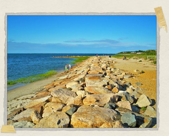 Even man-made things on the Cape are gorgeous 'Even man-made things on the Cape are gorgeous