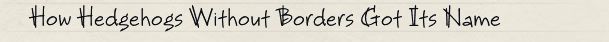How Hedgehogs Without Borders Got Its Name How Hedgehogs Without Borders Got Its Name