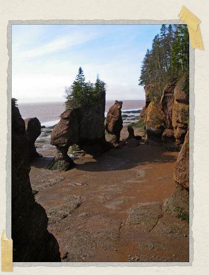 ...because you can so clearly understand how much the tide changes when you've seen the rocks in both high and low tides! '...because you can so clearly understand how much the tide changes when you've seen the rocks in both high and low tides!