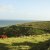 Favorite Photos of the Transkei Big Five Favorite Photos of the Transkei Big Five