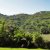 Off the Beaten Path on the Wild Coast, Part 1 Off the Beaten Path on the Wild Coast, Part 1