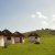 Bulungula Lodge on the Wild Coast Bulungula Lodge on the Wild Coast