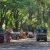 How to Get to the Ellora Caves How to Get to the Ellora Caves