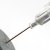 Vaccinations and the Question of Rabies Vaccinations and the Question of Rabies