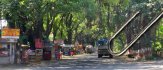 How to Get to the Ellora Caves