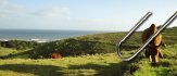 Favorite Photos of the Transkei Big Five