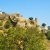 The Walls of Kumbhalgarh The Walls of Kumbhalgarh