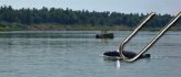 San San, the Mekong River Dolphin