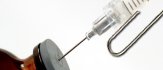 Vaccinations and the Question of Rabies