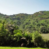 Off the Beaten Path on the Wild Coast, Part 1