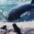 The Orcas of Peninsula Valdes The Orcas of Peninsula Valdes