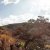 The Reason We've Never Been to South Africa Before The Reason We've Never Been to South Africa Before
