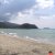 This Will Do Nicely
