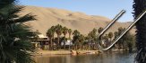 Desert Oasis