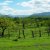 Thirteen Favorite Photos of Nicaragua Thirteen Favorite Photos of Nicaragua